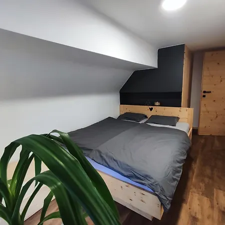 Alpine Spirit - Family Apartment Kranjska Gora