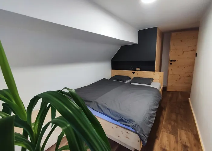 Alpine Spirit - Family דירה קרנייסקה גורה