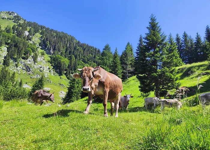 Alpine Spirit - Family Kranjska Gora